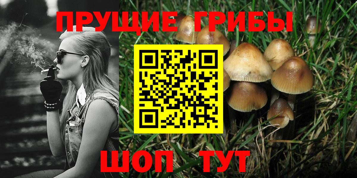 Псилоцибиновые грибы Psilocybe  Вход с VPN  Петрозаводск 
